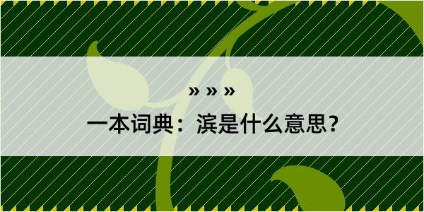 一本词典：滨是什么意思？