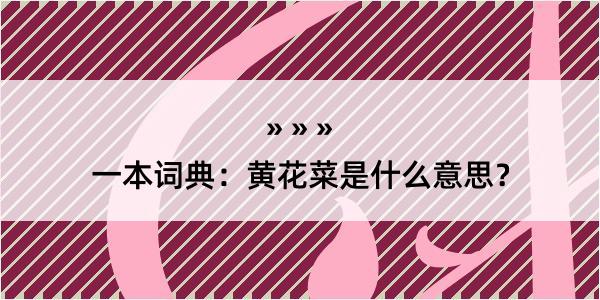 一本词典：黄花菜是什么意思？