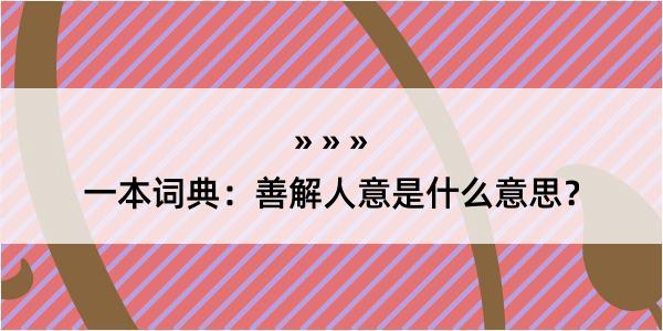 一本词典：善解人意是什么意思？