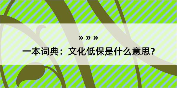 一本词典：文化低保是什么意思？