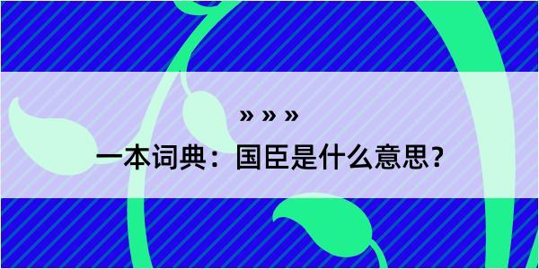 一本词典：国臣是什么意思？