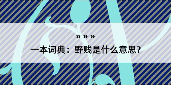 一本词典：野贱是什么意思？