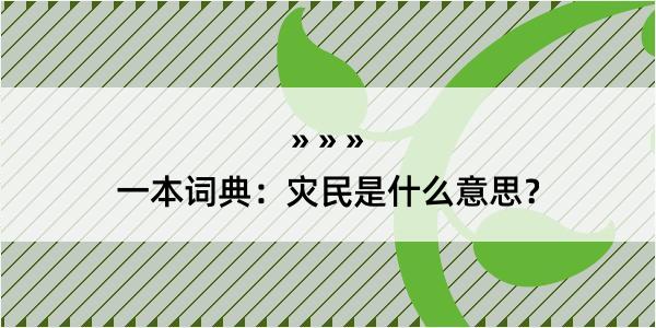 一本词典：灾民是什么意思？