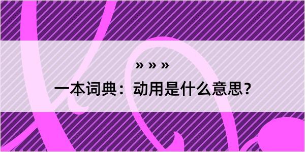 一本词典：动用是什么意思？