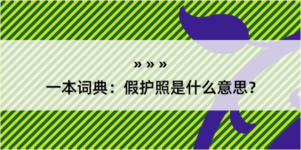 一本词典：假护照是什么意思？