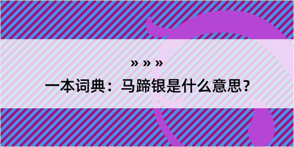 一本词典：马蹄银是什么意思？