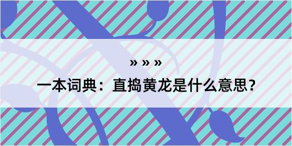 一本词典：直捣黄龙是什么意思？