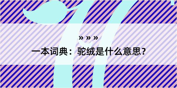 一本词典：驼绒是什么意思？