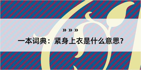 一本词典：紧身上衣是什么意思？