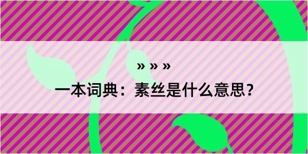 一本词典：素丝是什么意思？