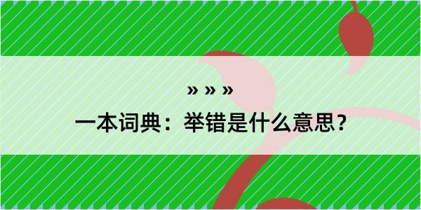 一本词典：举错是什么意思？