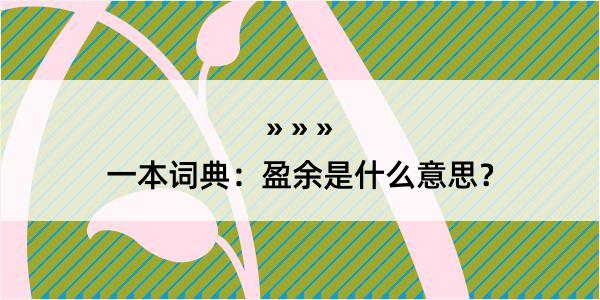 一本词典：盈余是什么意思？