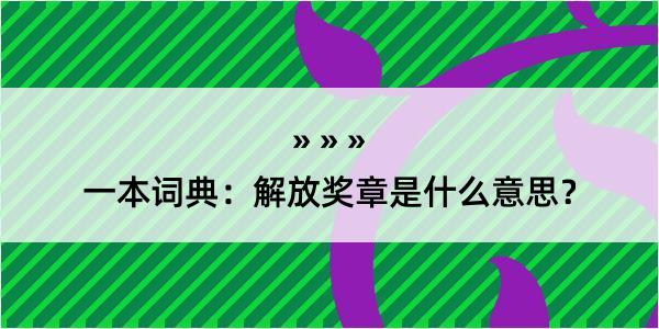 一本词典：解放奖章是什么意思？