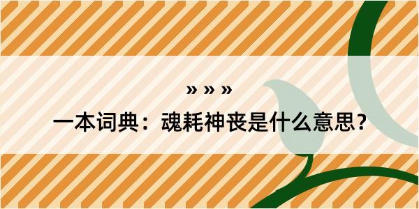 一本词典：魂耗神丧是什么意思？