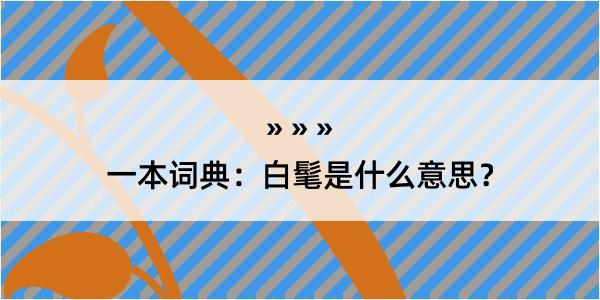 一本词典：白髦是什么意思？