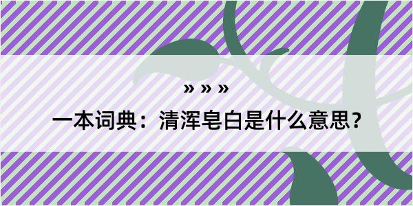 一本词典：清浑皂白是什么意思？