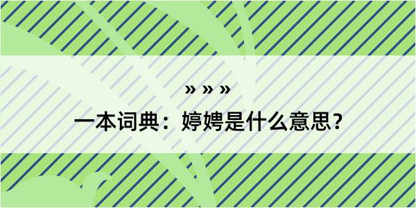 一本词典：婷娉是什么意思？