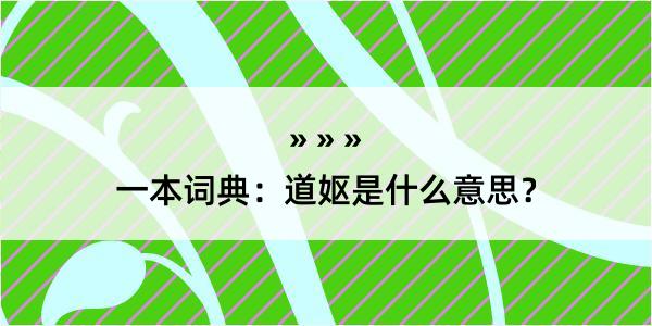 一本词典：道妪是什么意思？