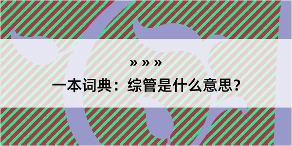 一本词典：综管是什么意思？