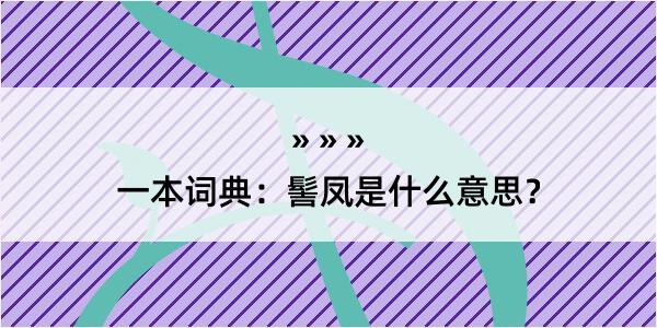 一本词典：髻凤是什么意思？