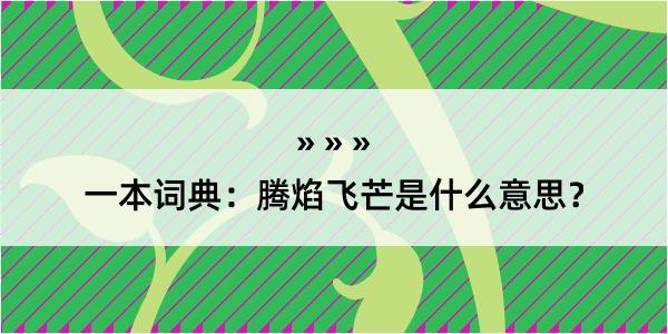 一本词典：腾焰飞芒是什么意思？