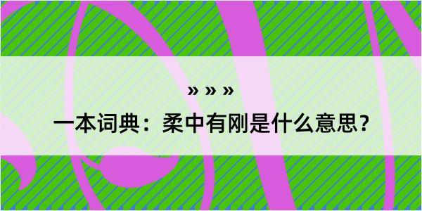 一本词典：柔中有刚是什么意思？