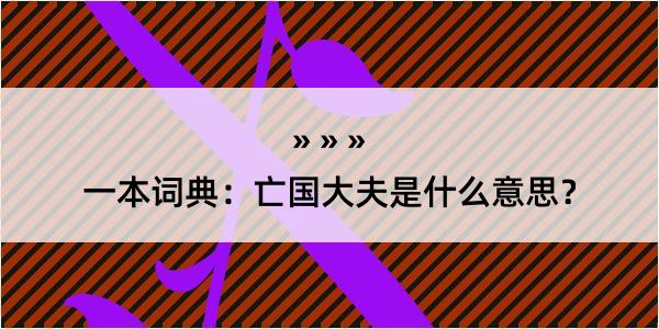 一本词典：亡国大夫是什么意思？