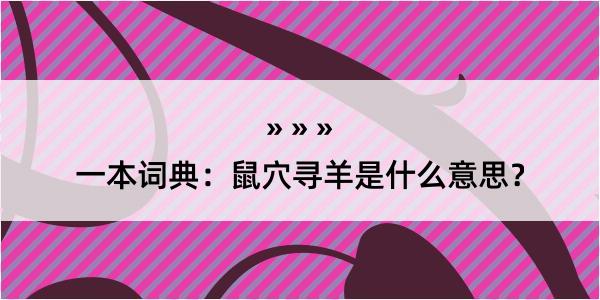 一本词典：鼠穴寻羊是什么意思？