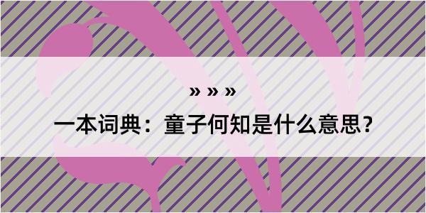 一本词典：童子何知是什么意思？