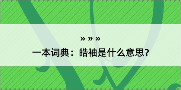 一本词典：皓袖是什么意思？