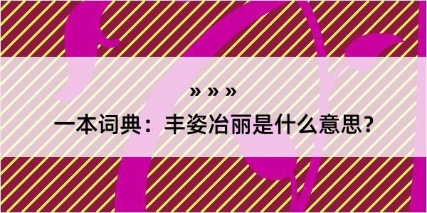 一本词典：丰姿冶丽是什么意思？