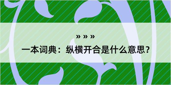 一本词典：纵横开合是什么意思？