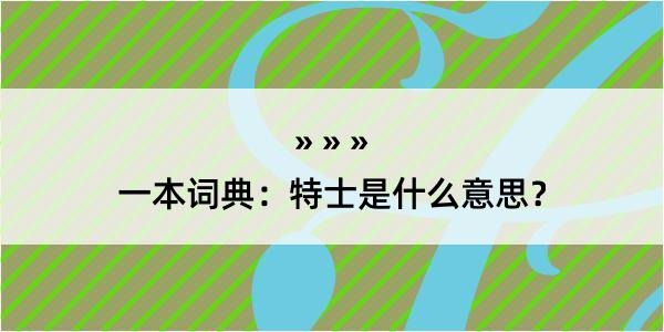 一本词典：特士是什么意思？