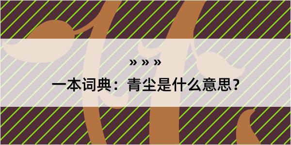 一本词典：青尘是什么意思？