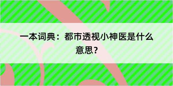 一本词典：都市透视小神医是什么意思？