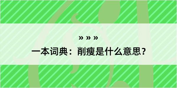 一本词典：削瘦是什么意思？