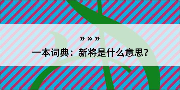 一本词典：新将是什么意思？