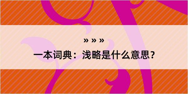 一本词典：浅略是什么意思？