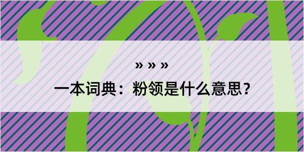 一本词典：粉领是什么意思？