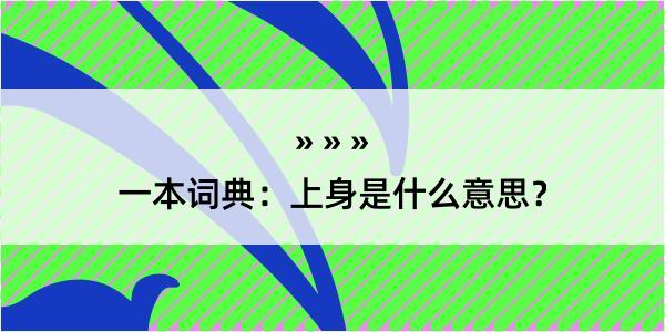 一本词典：上身是什么意思？