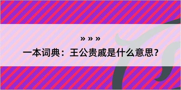 一本词典：王公贵戚是什么意思？