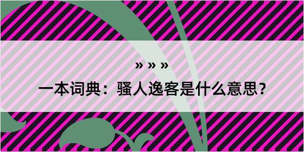 一本词典：骚人逸客是什么意思？