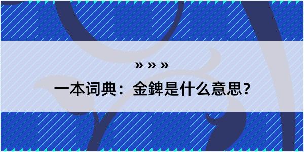 一本词典：金錍是什么意思？