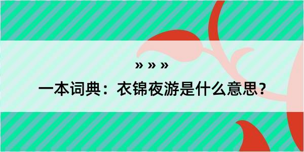 一本词典：衣锦夜游是什么意思？