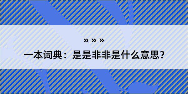 一本词典：是是非非是什么意思？