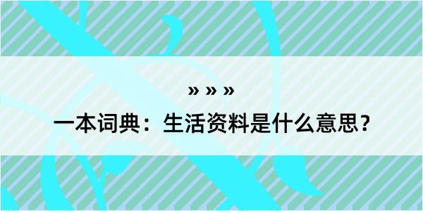 一本词典：生活资料是什么意思？