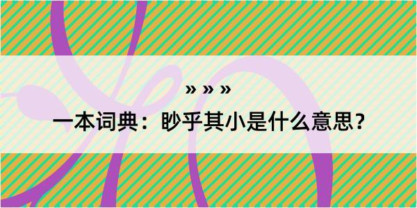 一本词典：眇乎其小是什么意思？