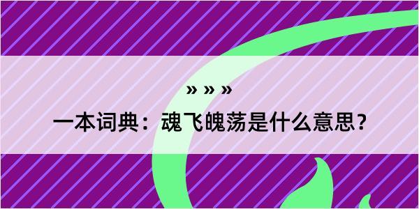 一本词典：魂飞魄荡是什么意思？