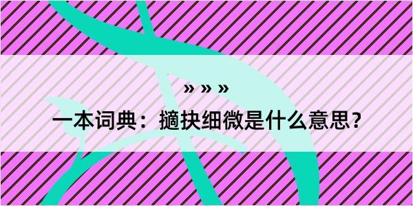 一本词典：擿抉细微是什么意思？