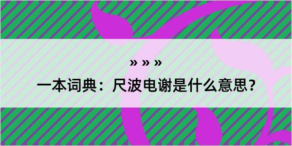 一本词典：尺波电谢是什么意思？